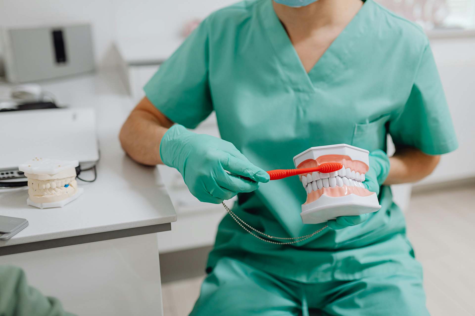 A dentist showing how to brush teeth on a model